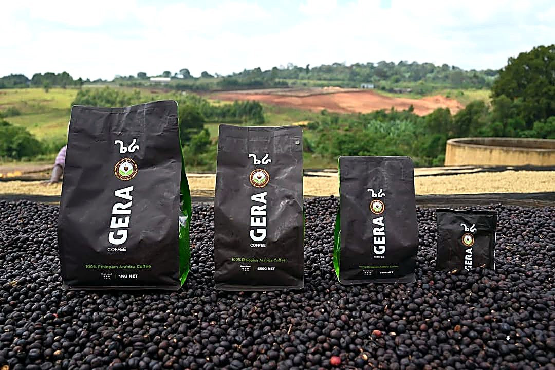 Wholesale — Gera Single-Origin Coffee